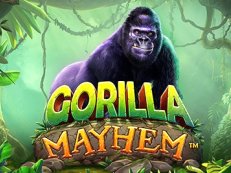 Gorilla Mayhem gokkast
